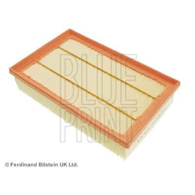 Filtro aria BLUEPRINT ADN12255BLU
