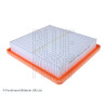 Filtro aria BLUEPRINT ADN12285BLU