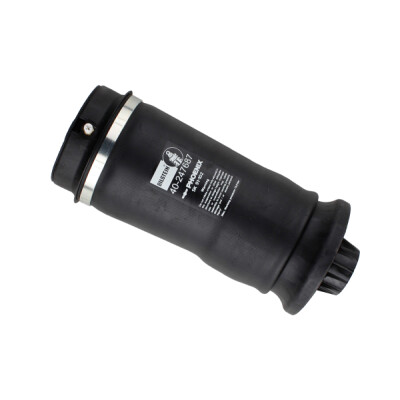 Sospensione pneumatica, sospensione BILSTEIN 40-247687