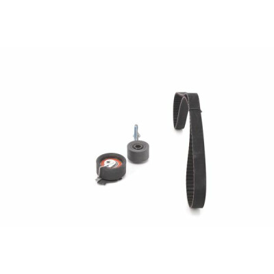 Kit cinghie dentate