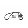 Pompa acqua + Kit cinghie dentate