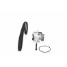 Pompa acqua + Kit cinghie dentate
