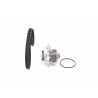 Pompa acqua + Kit cinghie dentate