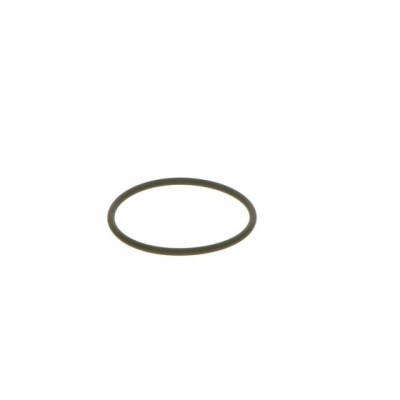 Anello di tenuta