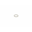 Anello di tenuta