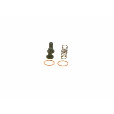 Filtro carburante BOSCH 2 447 010 011