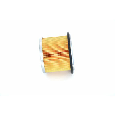 Filtro carburante BOSCH 1 457 431 713