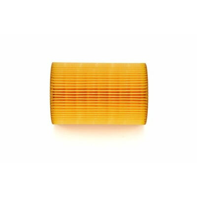Filtro Aria Auto RC, Mini Filtro Aria Motore Universale Parte Ricambio Auto RC Compatibile con HSP 1/8 94087 94762 Modellini Auto(Nero