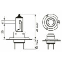 Lampadina