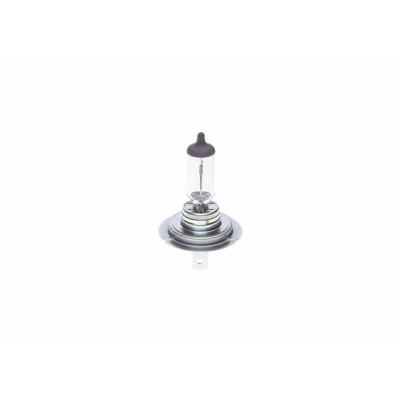 Lampada abbagliante (1 pz) BOSCH 1987302071