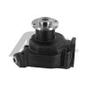 Pompa dell&#39;acqua AIRTEX 113.1