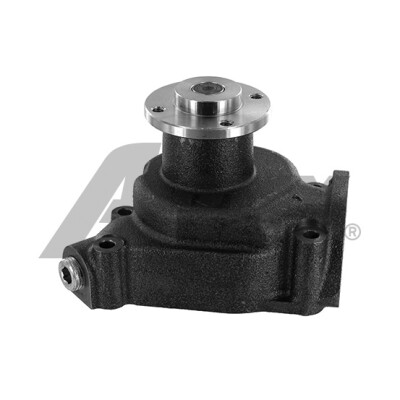 Pompa dell'acqua AIRTEX 113.1