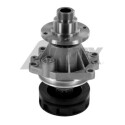 Pompa dell&#39;acqua AIRTEX 14.17