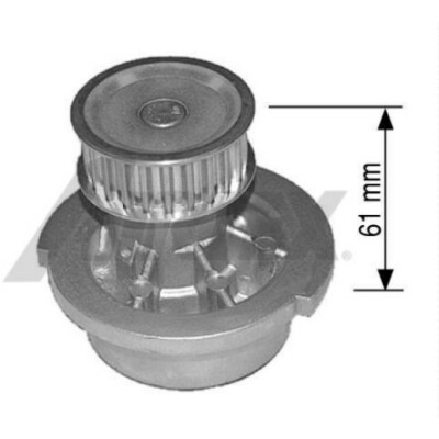 Pompa dell'acqua AIRTEX 1446