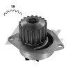 Pompa dell&#39;acqua AIRTEX 160.0