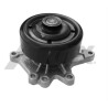 Pompa dell&#39;acqua AIRTEX 17.14