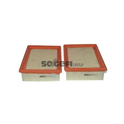 Filtro aria PURFLUX A1114-2