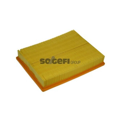 Filtro aria PURFLUX A1212