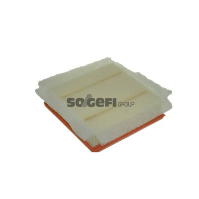Filtro aria PURFLUX A1239