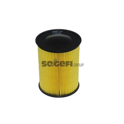Filtro aria PURFLUX A1297