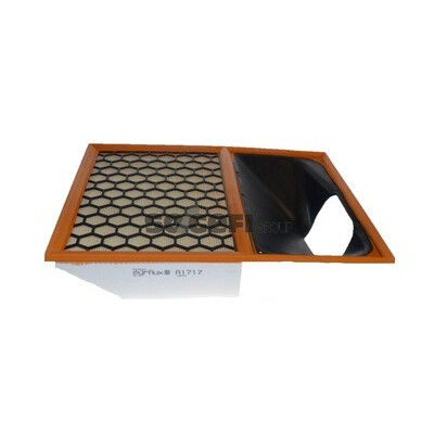 Filtro aria PURFLUX A1717
