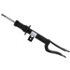 Ammortizzatore SACHS 318 074