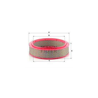 Filtro aria MANN-FILTER C 2436/1