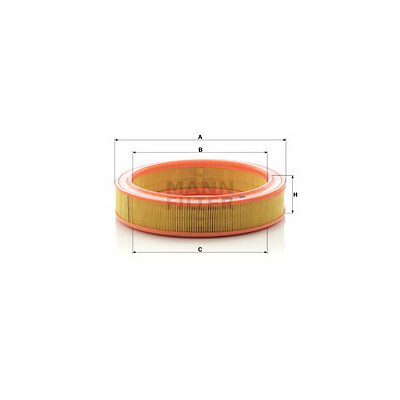 Filtro aria MANN-FILTER C 2873/1