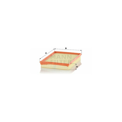 Filtro aria MANN-FILTER C 2880