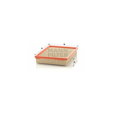 Filtro aria MANN-FILTER C 29 122/1