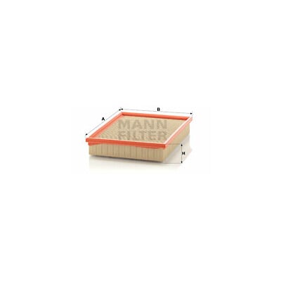 Filtro aria MANN-FILTER C 29 122/1