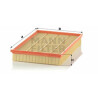 Filtro aria MANN-FILTER C 36 221