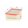 Filtro aria MANN-FILTER C 25 021