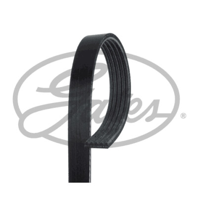 Cinghia Poly-V