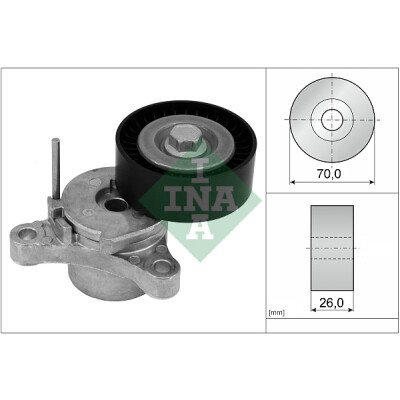Tendicinghia, Cinghia Poly-V