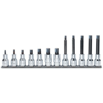Set di 12 prese maschio con profilo XZN® nel supporto