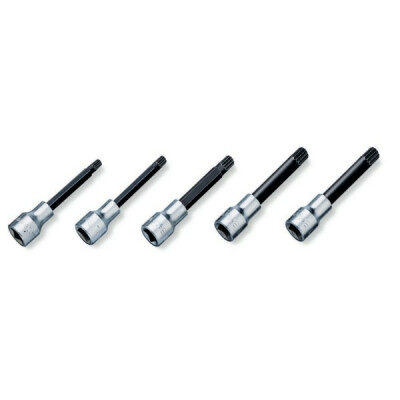 Set di 5 prese maschio con profilo XZN® in staffa