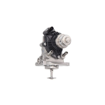 Valvola EGR PIERBURG 7.04493.17.0