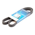 Cinghia trapezoidale scanalata DAYCO 6 PK 1660