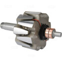 Rotore, Alternatore
