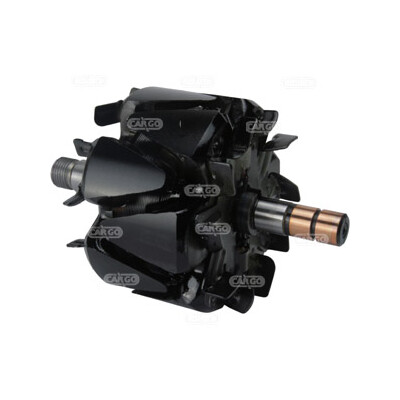 Rotore, Alternatore