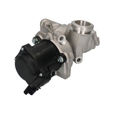 Valvola ricircolo gas scarico-EGR