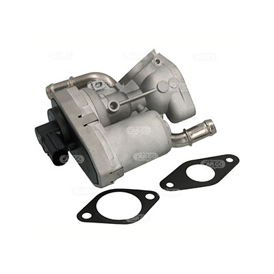 Valvola ricircolo gas scarico-EGR