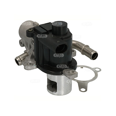 Valvola ricircolo gas scarico-EGR
