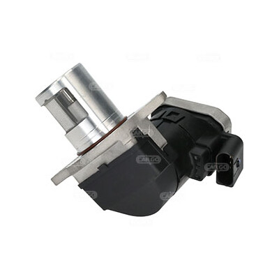 Valvola ricircolo gas scarico-EGR