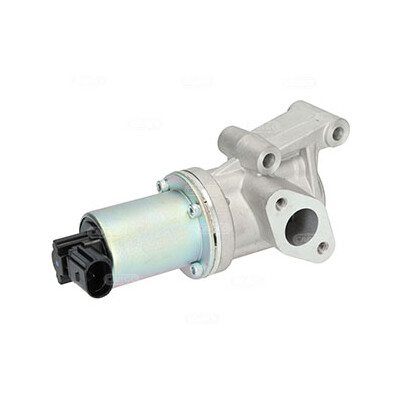Valvola ricircolo gas scarico-EGR