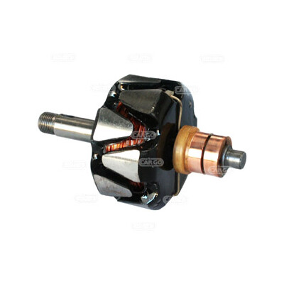 Rotore, Alternatore