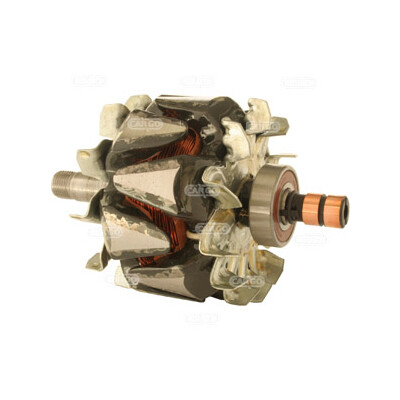 Rotore, Alternatore
