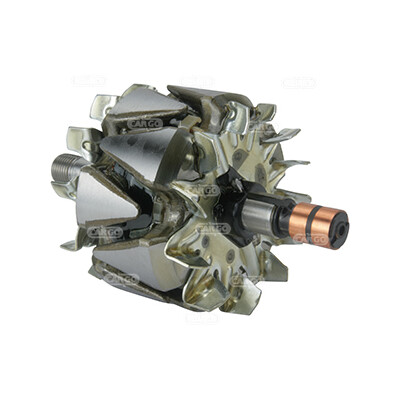 Rotore, Alternatore