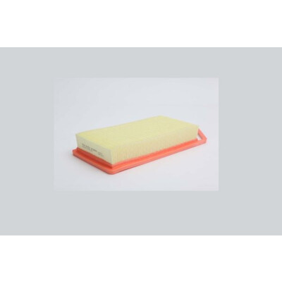 Filtro aria STEP FILTERS AE20629